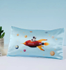  19 Momme 100% Pure Mulberry Silk Pillowcase for Kids